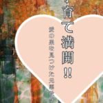 cover2