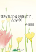 novelimage