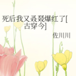 novelimage